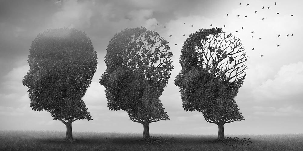 mal de alzheimer instituto dr francinaldo gomes