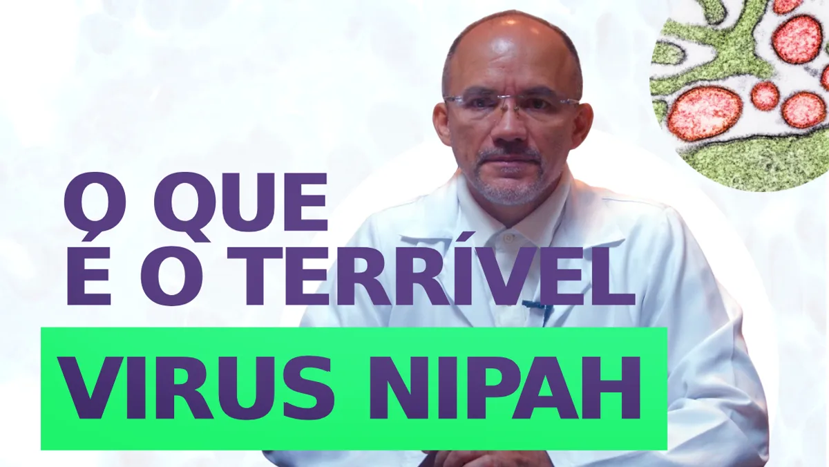Tudo sobre o Vírus Nipah, uma Ameaça à Saúde Global?