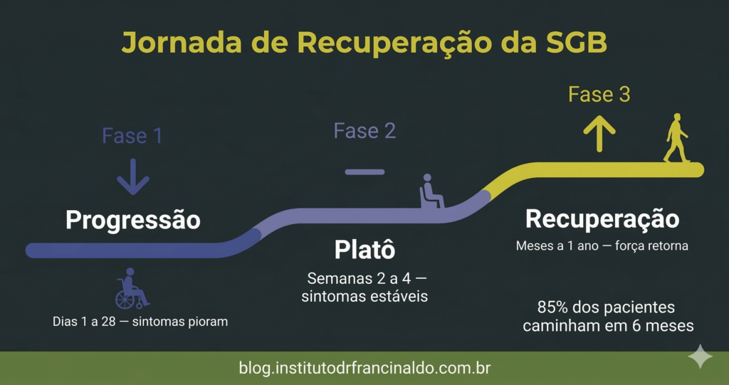 Infográfico da jornada de recuperação da Síndrome de Guillain-Barré
em três fases: progressão, platô e recuperação, com 85% dos pacientes
caminhando independentemente em 6 meses